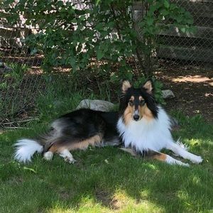 Meet your Posher, Joanne